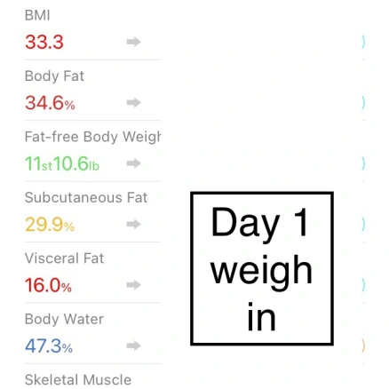 Starting on keto-BMI-Body fat-Subcutaneous fat-Visceral fat