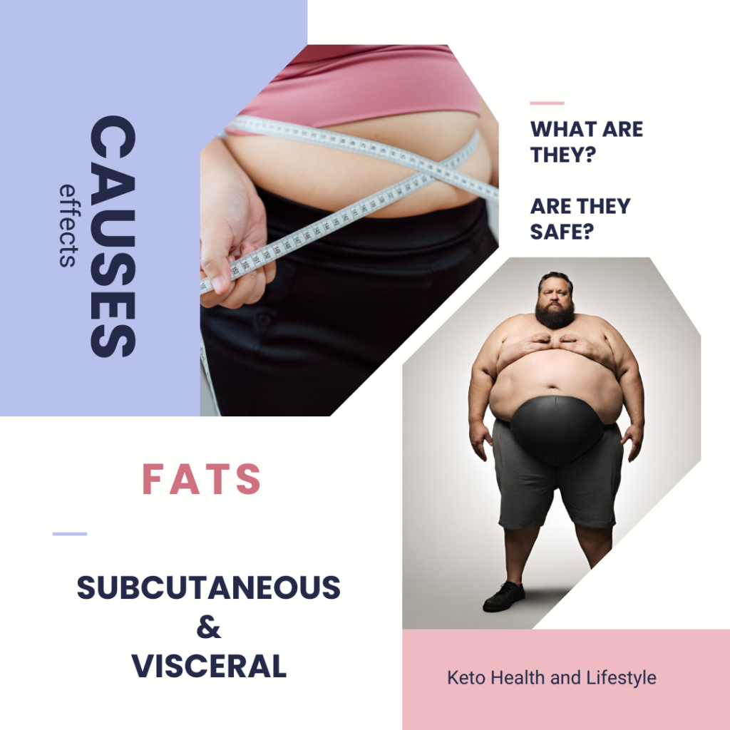 visceral fat vs subcutaneous fat picture