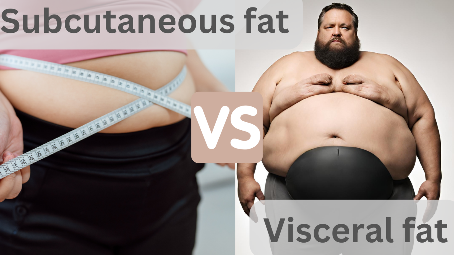 Fresh Look at Understanding Visceral Fat Vs Subcutaneous Fat The Ultimate Guide