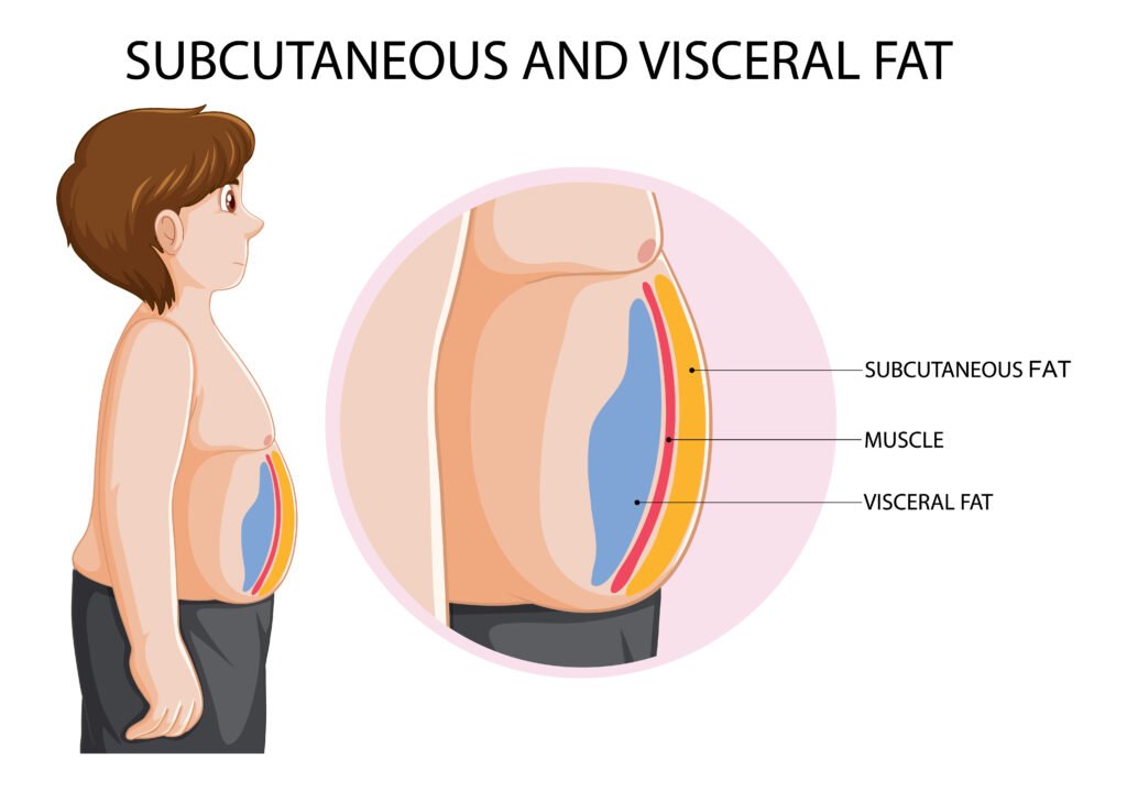Subcutaneous fat what is it?